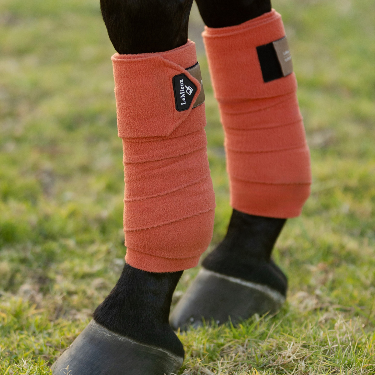 LeMieux Classic Polo Bandages in Apricot 
