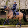 LeMieux Loire Classic Dressage Pad in Navy