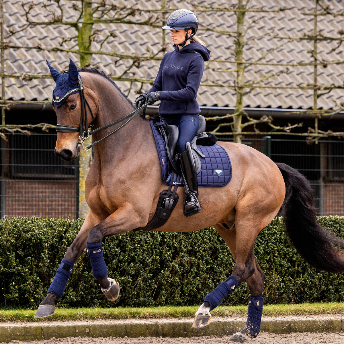 LeMieux Loire Classic Dressage Pad in Navy
