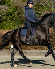 LeMieux 'Cotton Dressage' Pad in Navy