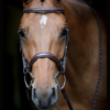 Jump'In WEEK Hunter Bridle in Brown - Full