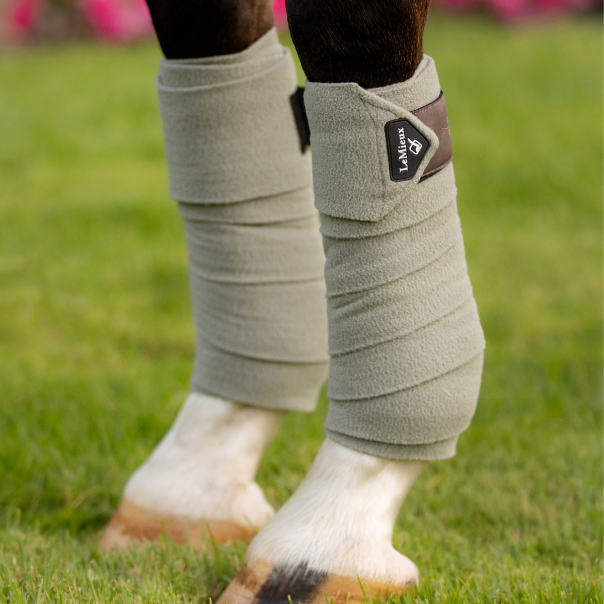 LeMieux Classic Polo Bandages in Fern - Pony