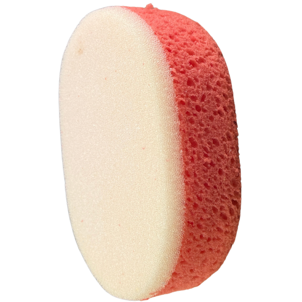 Sponge w/ Scrubber in Red