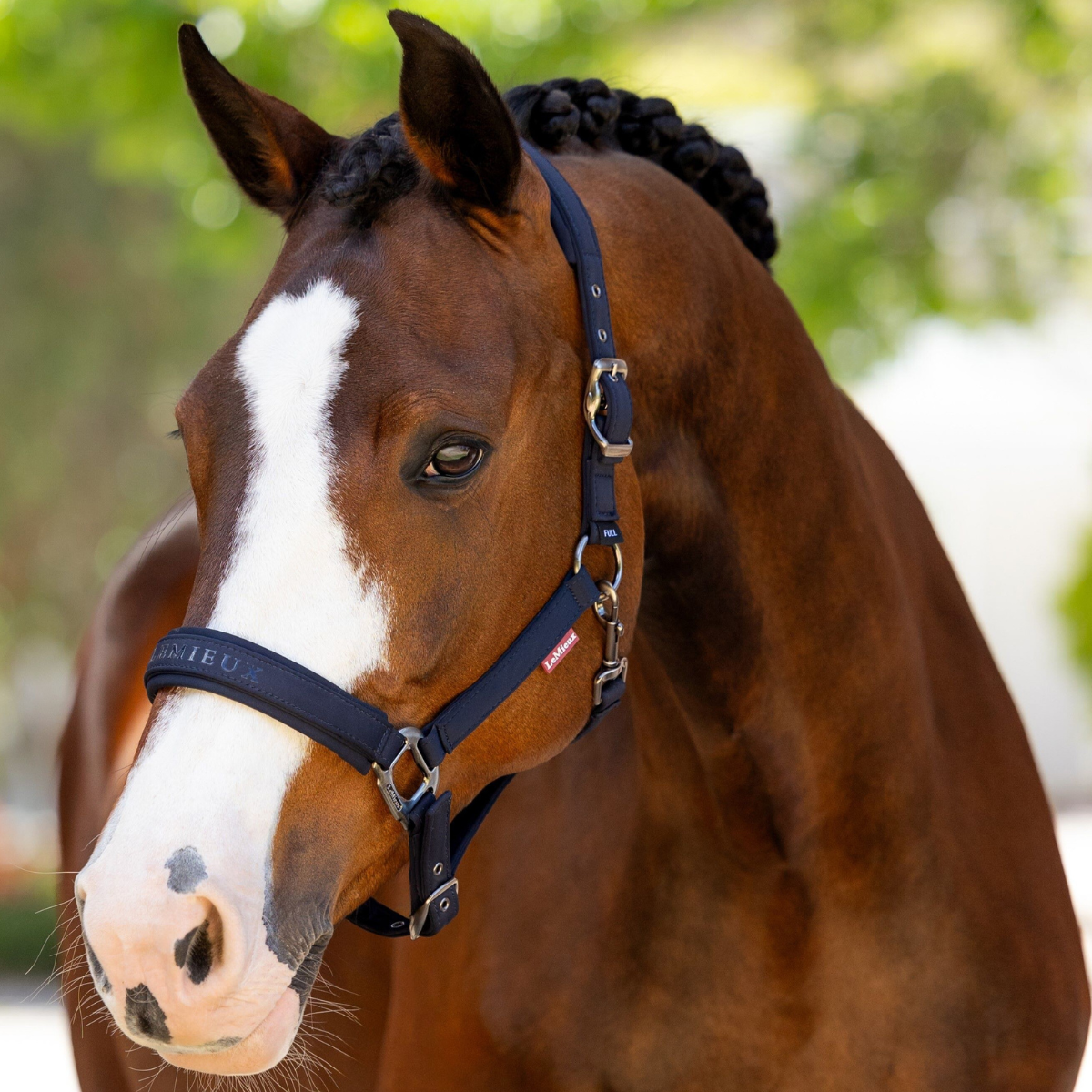 LeMieux 'Essence' Headcollar in Navy