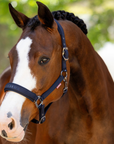 LeMieux 'Essence' Headcollar in Navy