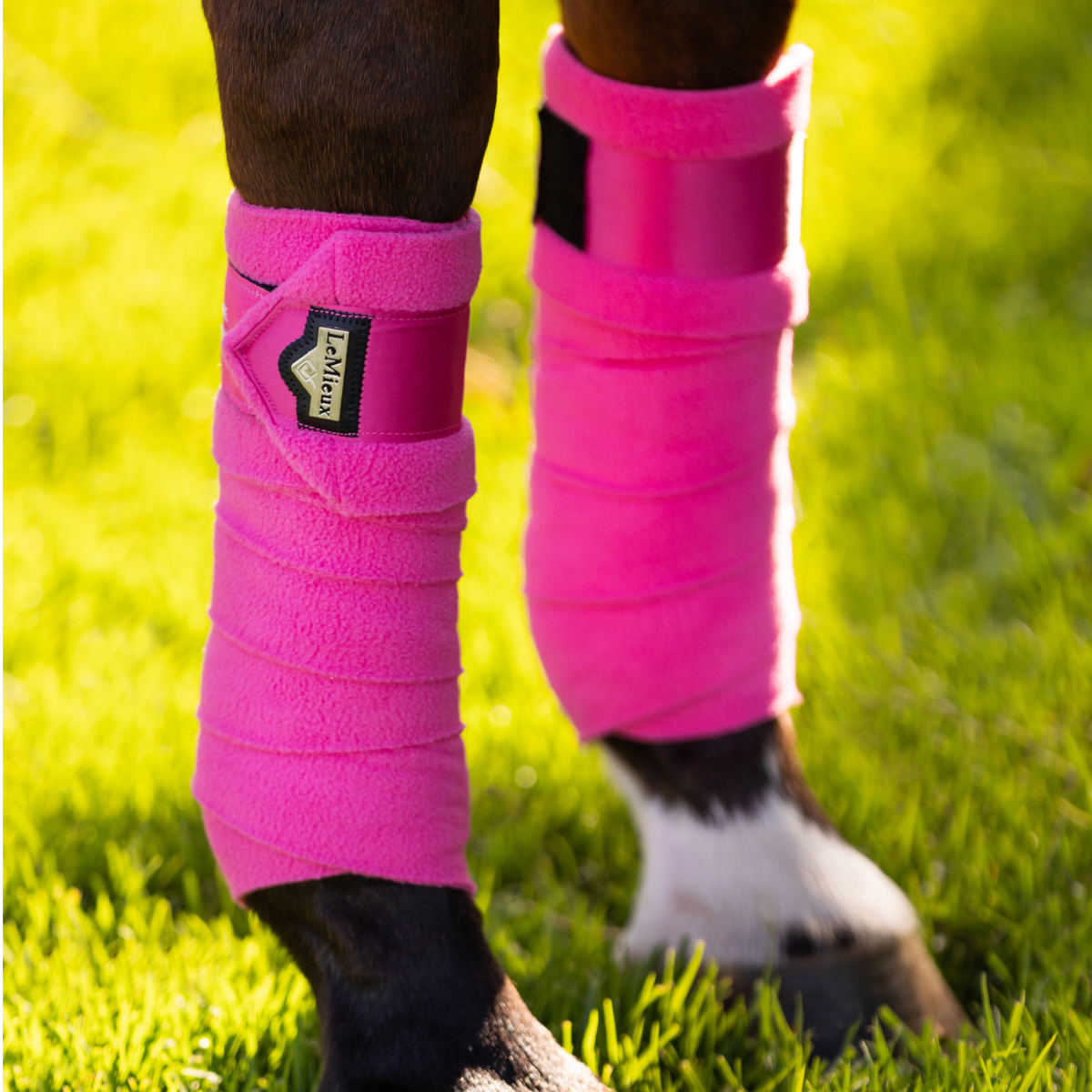 LeMieux Loire Satin Polo Wraps in Watermelon