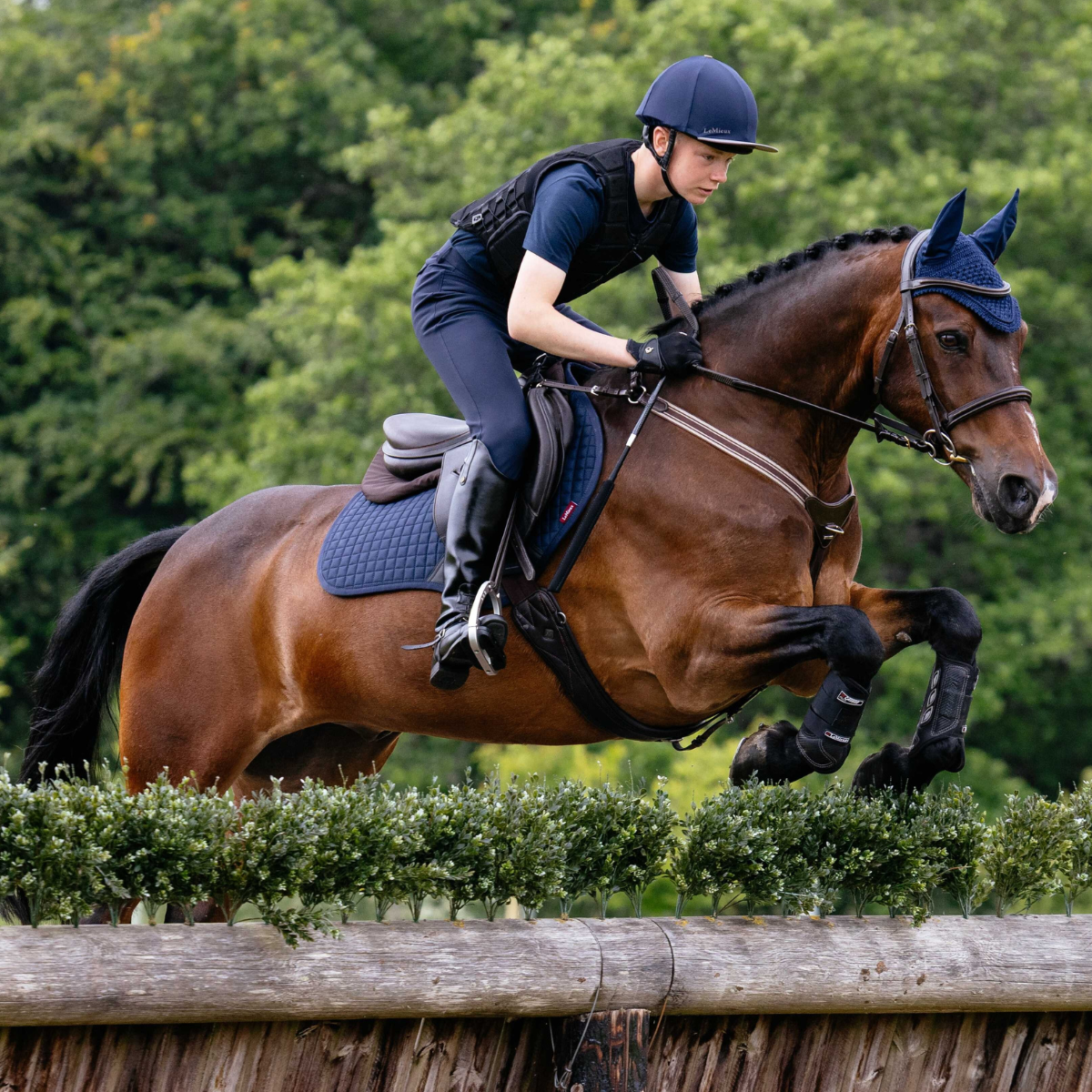 LeMieux 'Cotton Close Contact' Saddle Pad in Navy