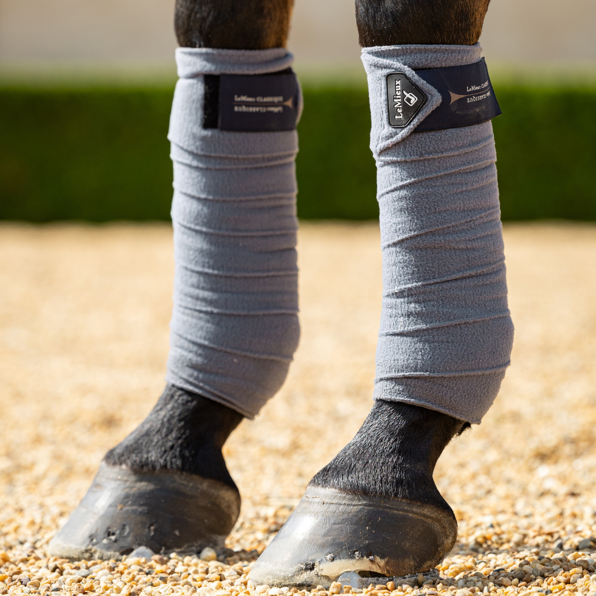 LeMieux Classic Polo Bandages in Jay Blue 