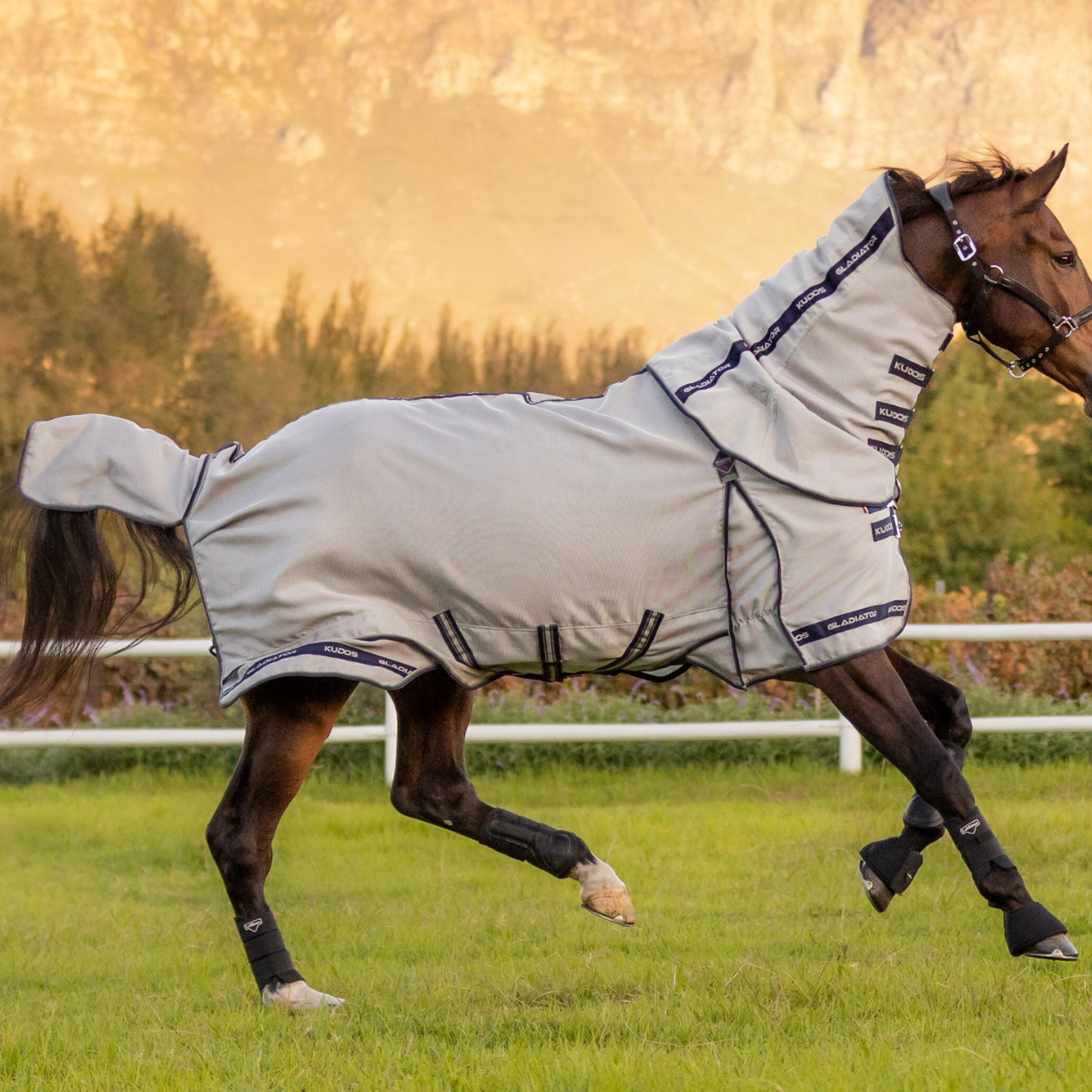 LeMieux 'Kudos Gladiator' Fly Sheet in Silver 