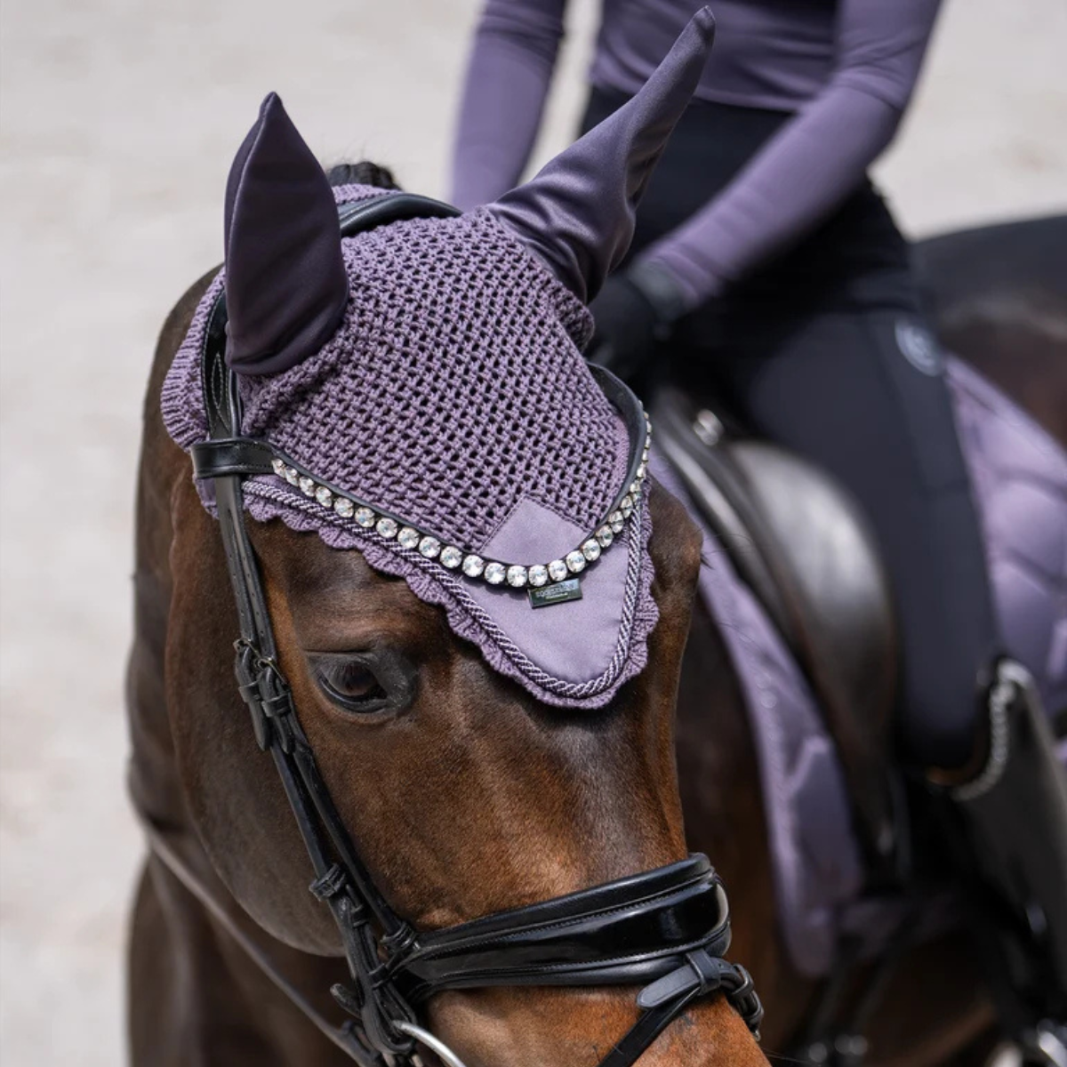 Equestrian Stockholm Ear Bonnet in Dark Violet