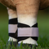 LeMieux 'Toy Pony' Grafter Boots in Lilac