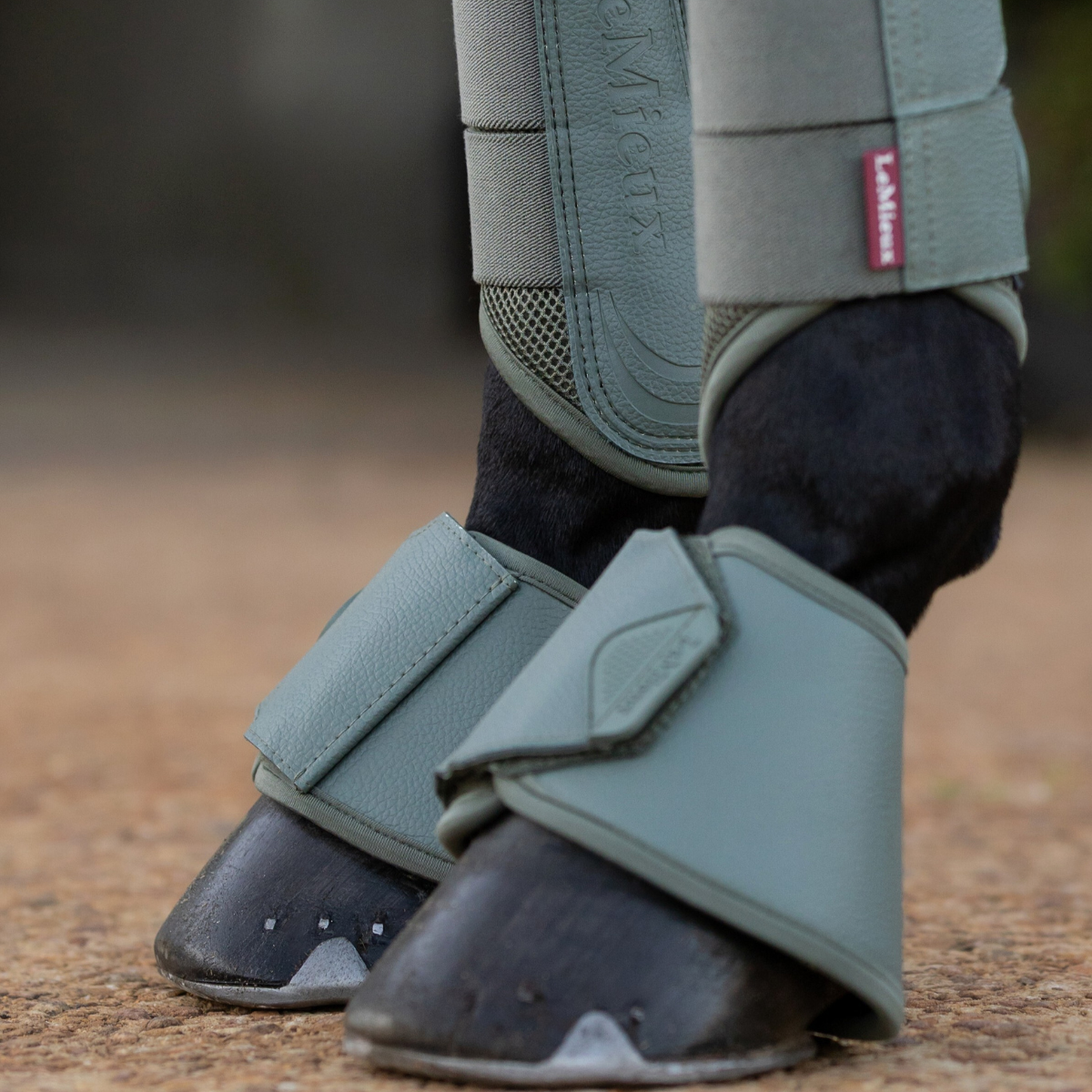 LeMieux Arika Over Reach Boots in Rosemary