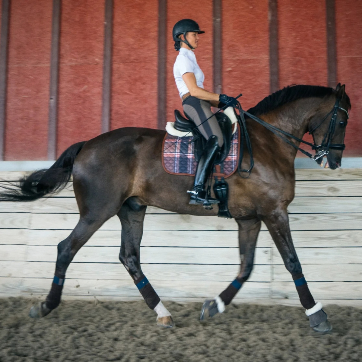 Sixteen Cypress Dressage Saddle Pad in Field Plaid &amp; Hickory