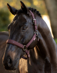 LeMieux 'Essence' Headcollar in Damson