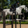 Equestrian Stockholm Jump Saddle Pad in All Black Glimmer