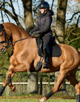 LeMieux 'Cotton Dressage' Pad in Black