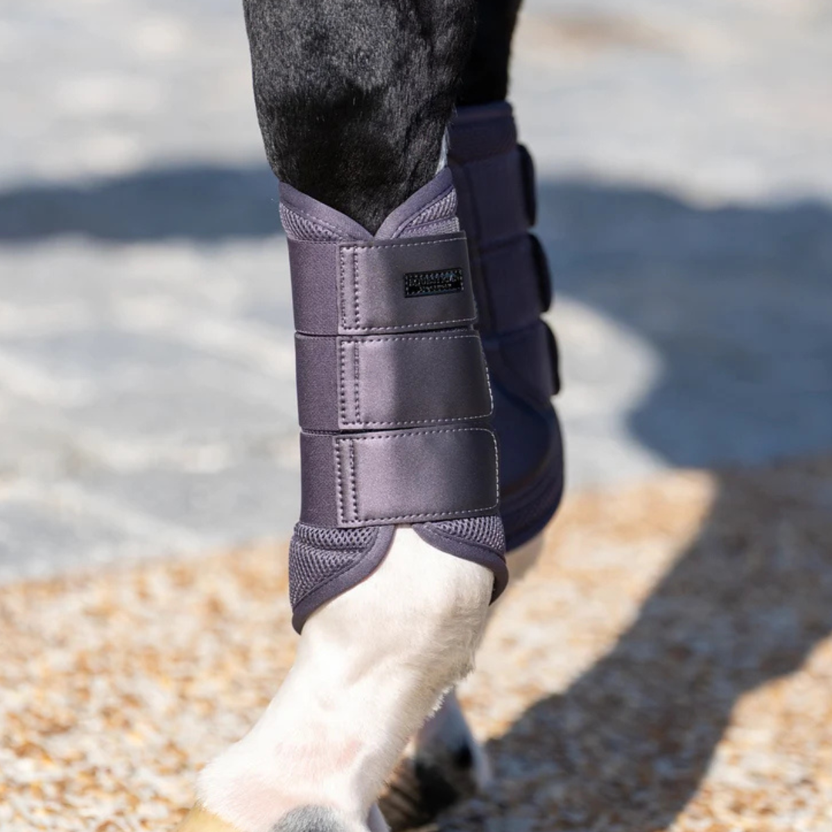 Equestrian Stockholm Mesh Brushing Boots in Dark Violet