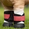 LeMieux 'Toy Pony' Mini Bandages in Cranberry