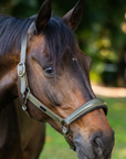 Equestrian Stockholm Glimmer Anatomic Leather Halter in Striking Valley 