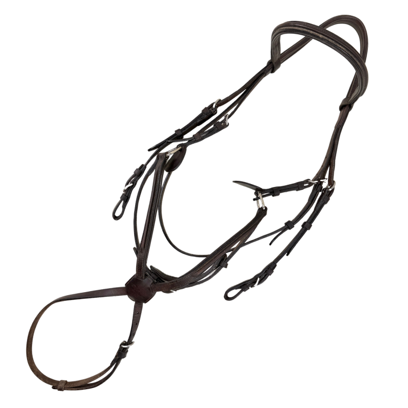 Vespucci Square Raised Figure 8 Bridle in Brown - Full