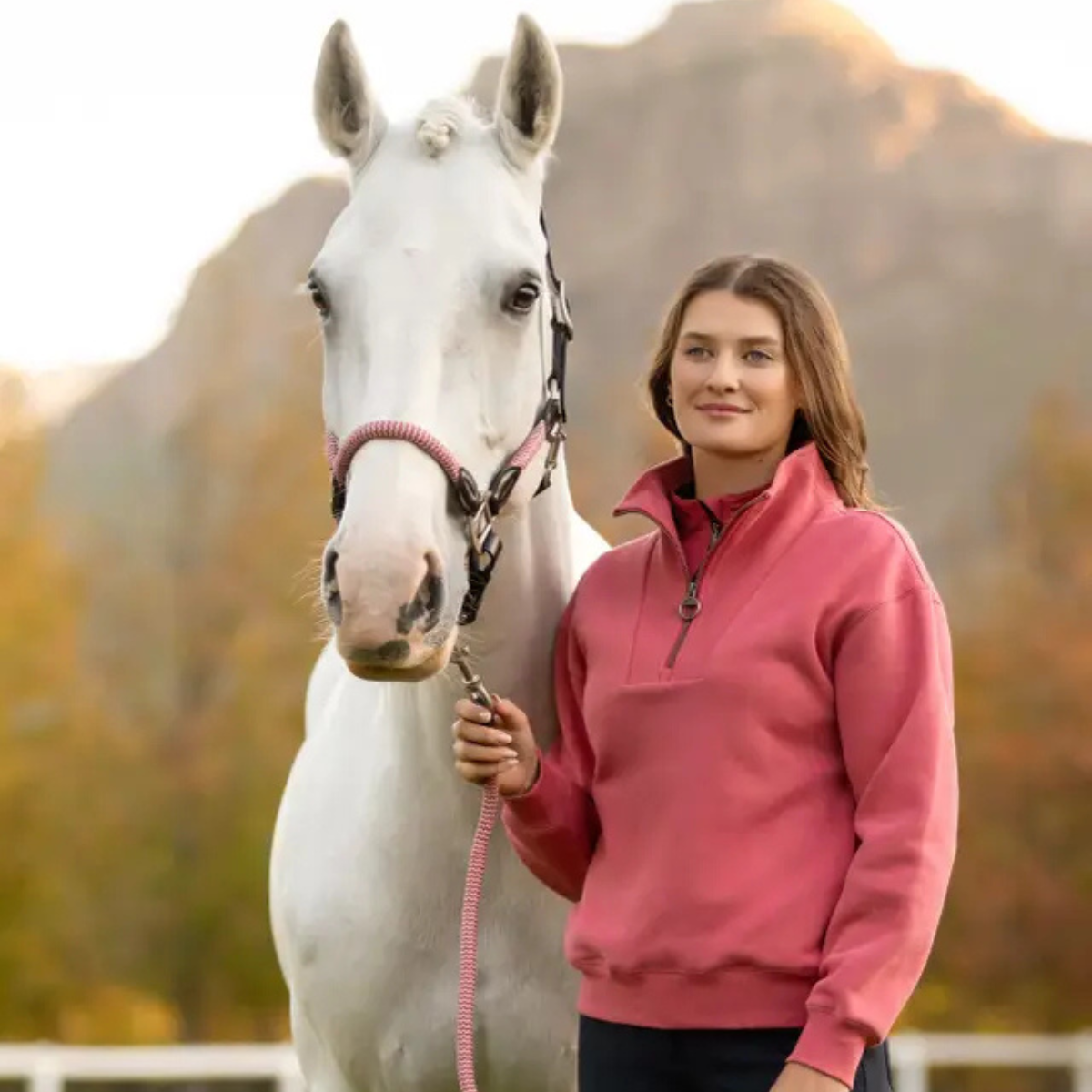 LeMieux 'Keira' Quarter Zip Sweater in Cranberry 