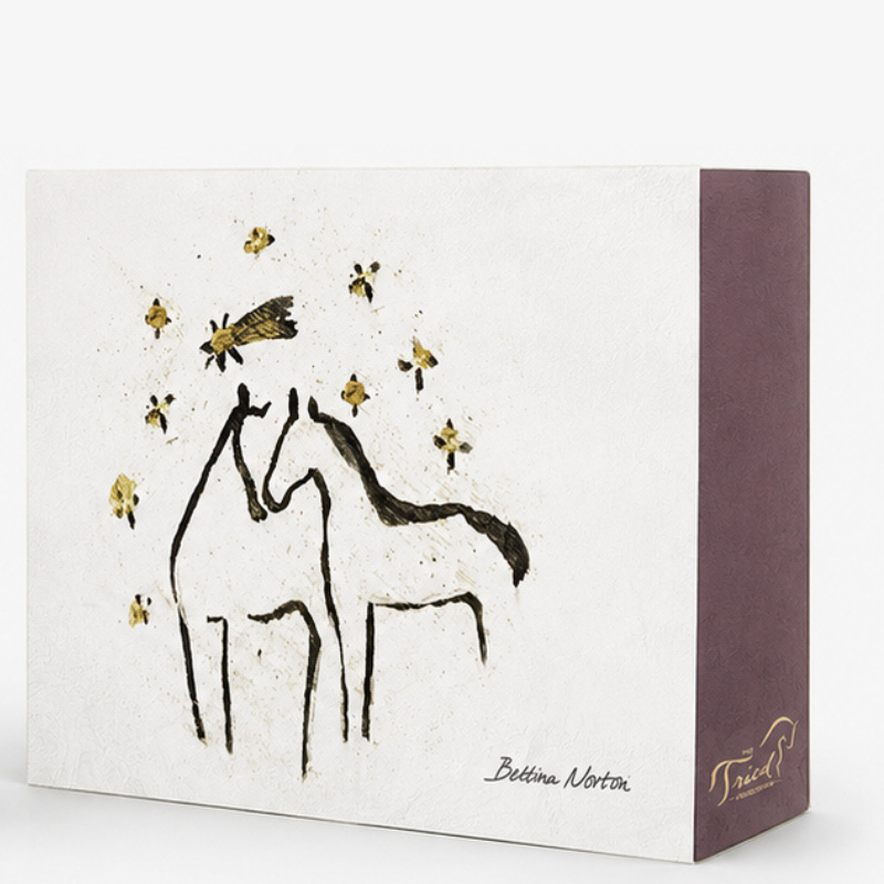 'Young Rider' Limited Edition 2026 Advent Calendar