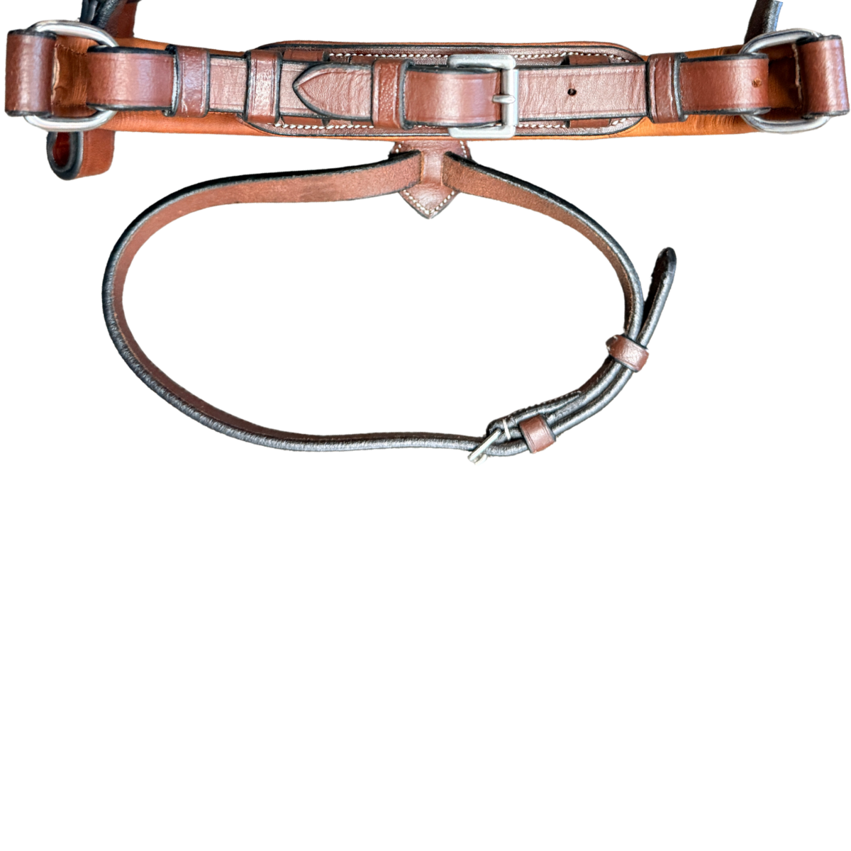 Arc De Triomphe 'Starman' Bridle in Brown