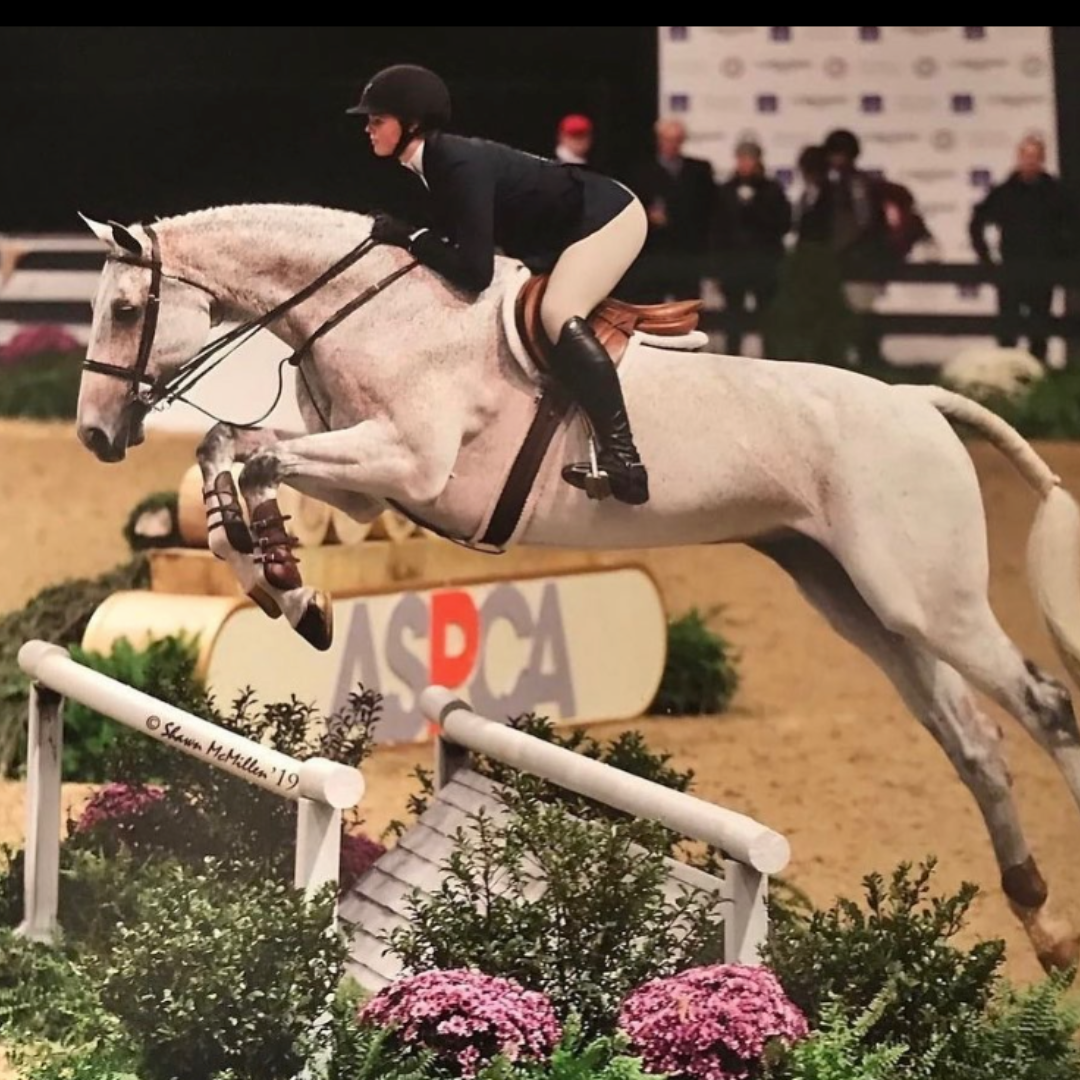 Girl jumping a jump on a grey horse at the ASPCA Maclay Medal Finals.