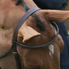 Jump'In WEEK Hunter Bridle in Brown - Full