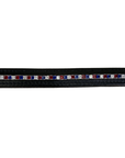 People On Horses Crystal Belt in Black/Red/Blue