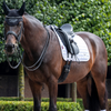 LeMieux Loire Classic Dressage Pad in White