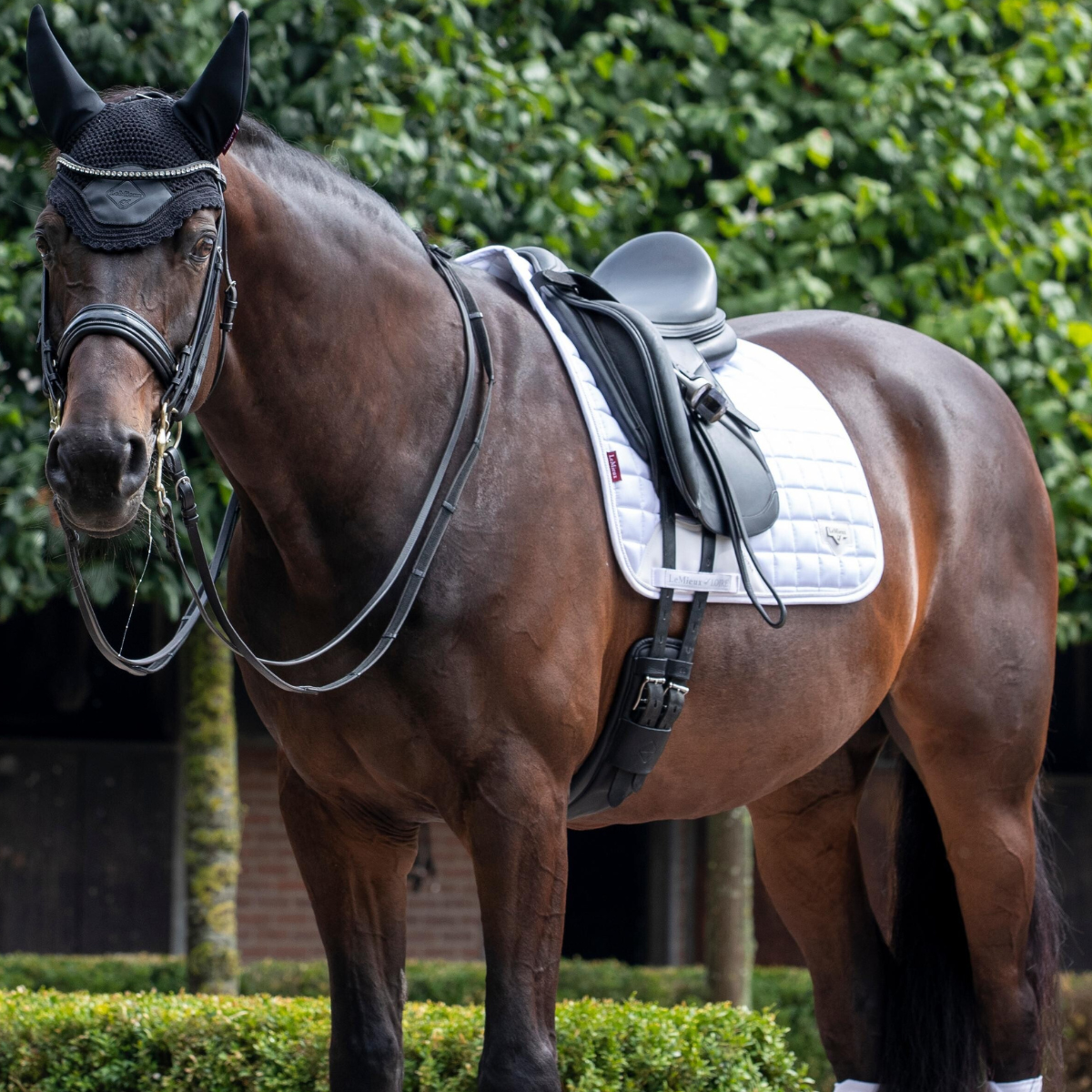 LeMieux Loire Classic Dressage Pad in White