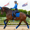 LeMieux Loire Dressage Pad in Benetton Blue