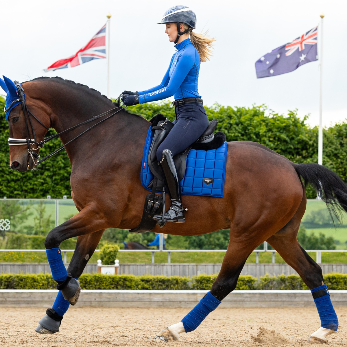 LeMieux Loire Dressage Pad in Benetton Blue