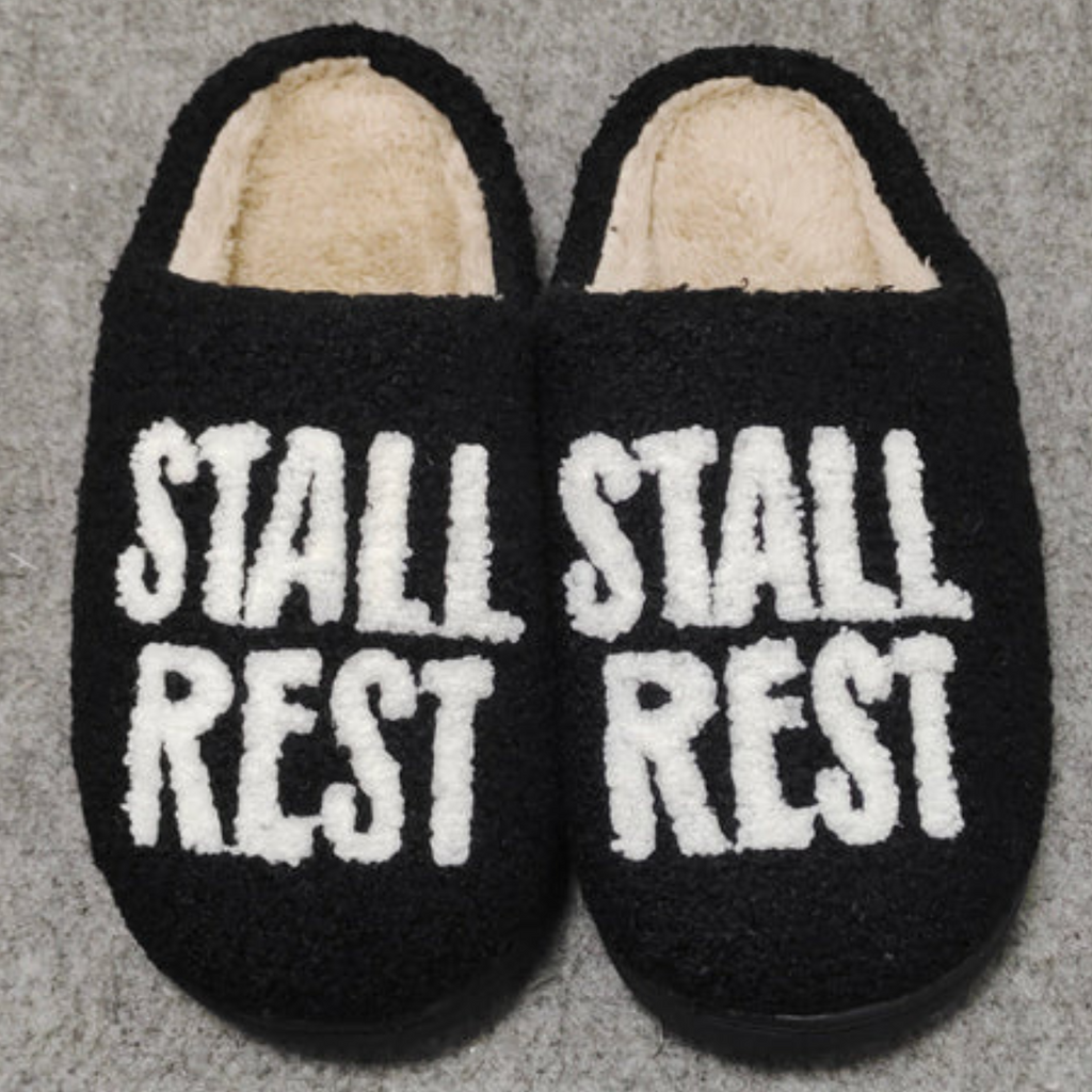 Dreamers &amp; Schemers Stall Rest Slippers