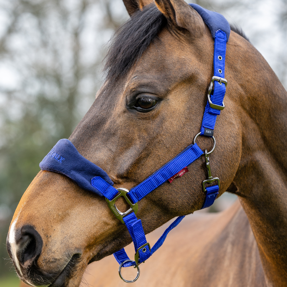 LeMieux Vogue Fleece Halter in Royal Blue