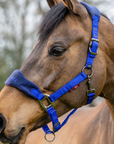 LeMieux Vogue Fleece Halter in Royal Blue