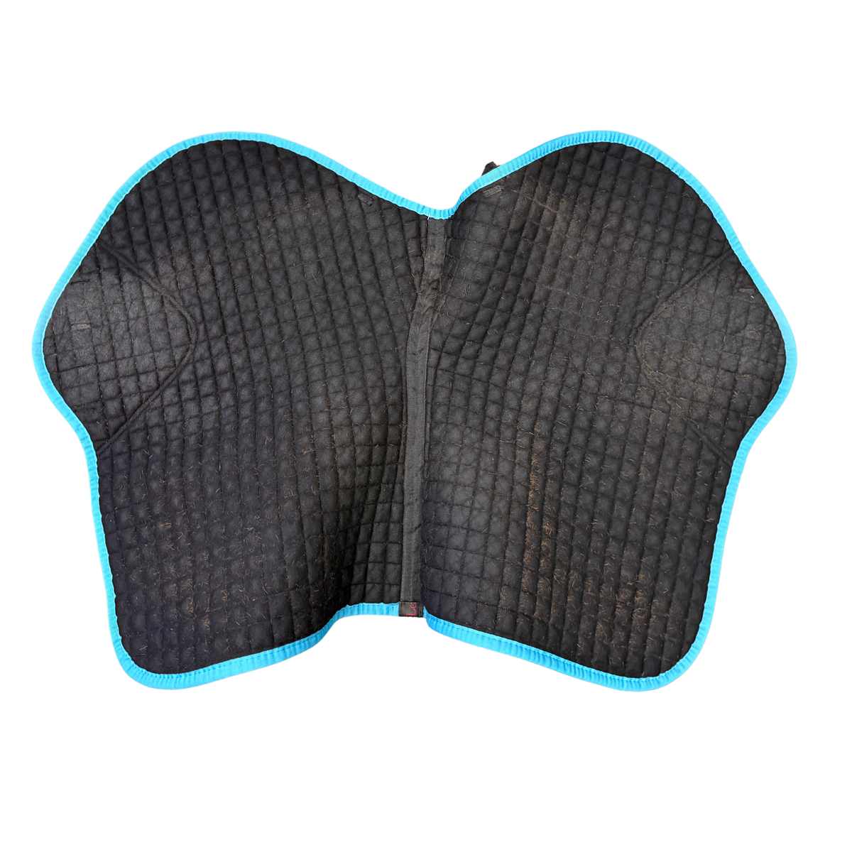 LeMieux Suede Close Contact Pad in Sky Blue