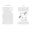 Show Strides Vol. 1 & 2 Book Set - Rennie Dyball & Piper Klemm