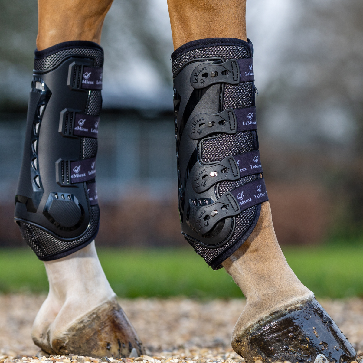 LeMieux Ultra Mesh Snug Front Boots in Black