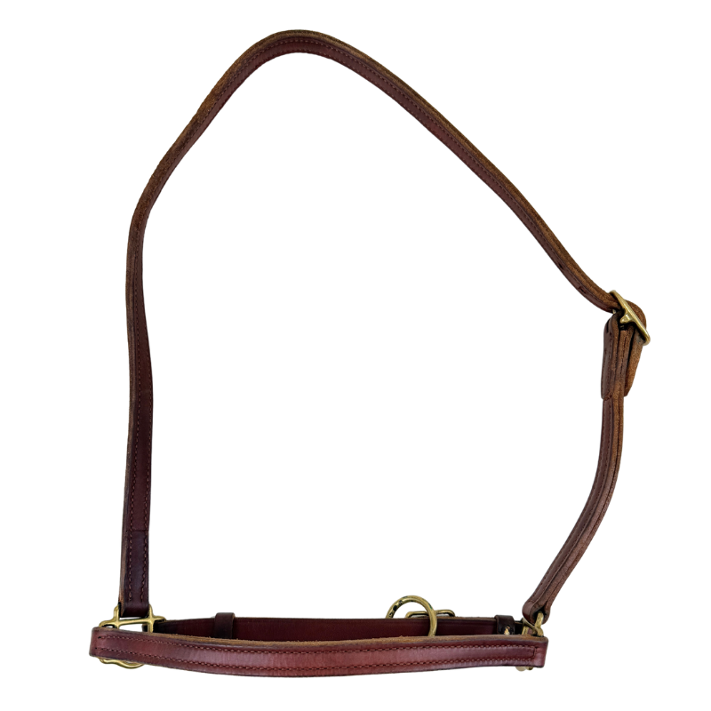 Leather Grooming Halter in Chestnut 