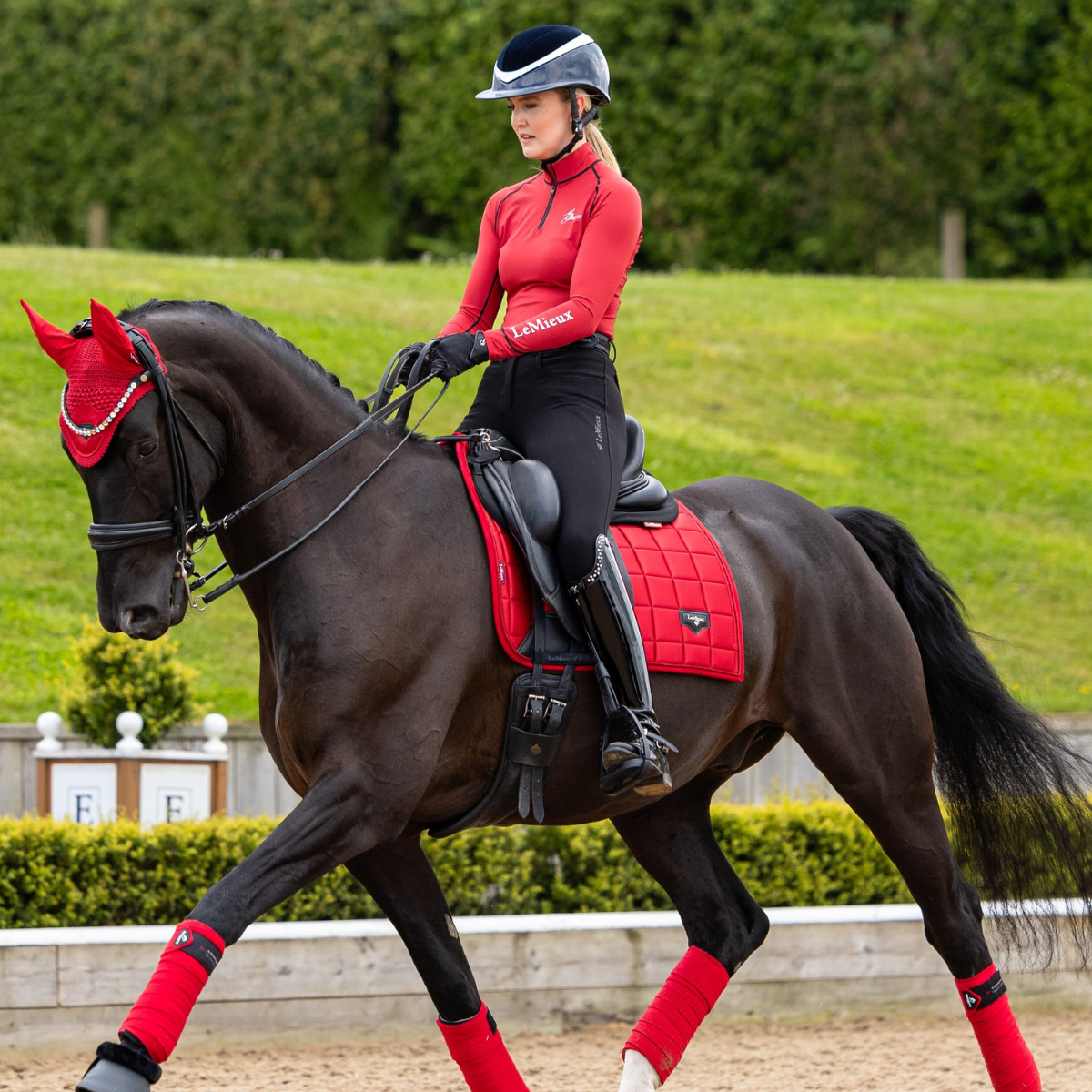 LeMieux Loire Dressage Pad in Chili 