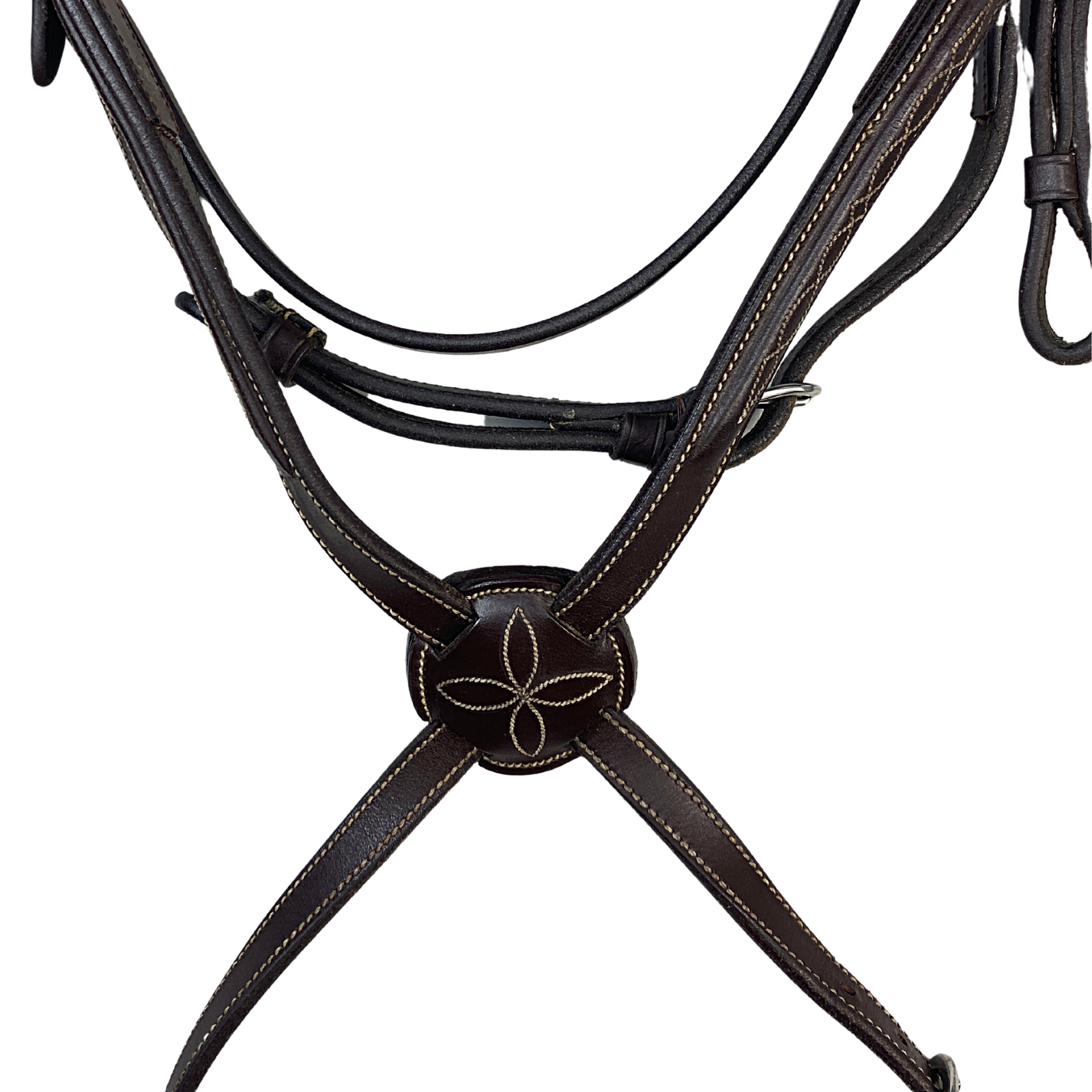 Voltaire Design Figure 8 Bridle in Brown - Full