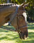 KL Select 'Wellington' Bridle in Brown
