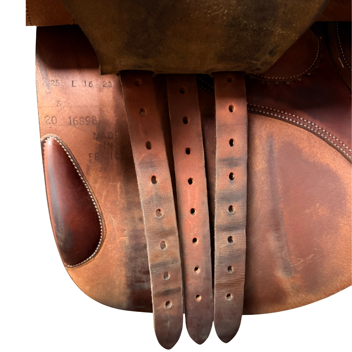Butet 2020 Saddle in Gold