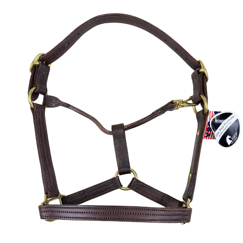 HFP Stitched Leather Halter in Brown