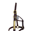 HFP Stitched Leather Halter in Brown