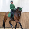 LeMieux Suede Dressage Pad in Hunter Green