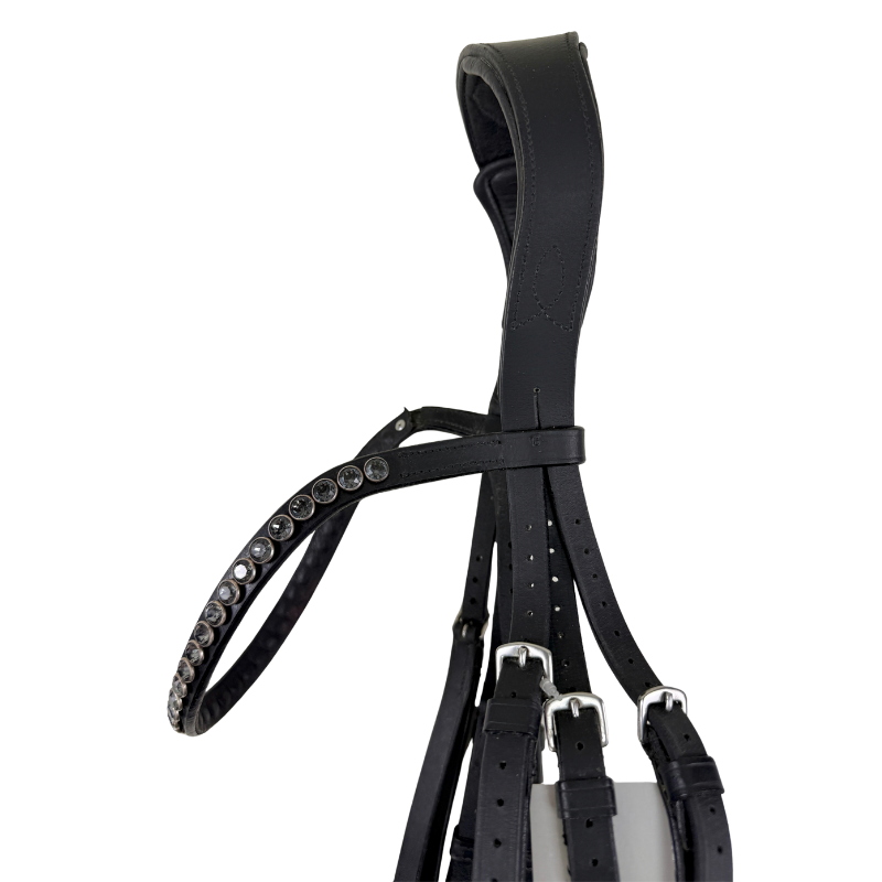 Bridle2Fit Crystal Dressage Bridle in Black