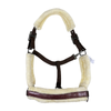 Equitheme Sparkle Horse Halter in Autumn Sparkle